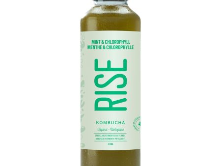 Rise kombucha Mint & Chlorophyll 414ml Refrigerated Online Sale