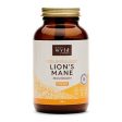 Stay Wyld Lion s Mane Powder 100g For Sale