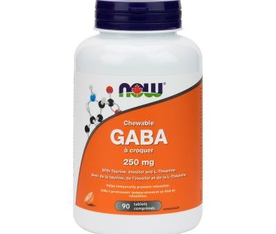 Now GABA 250mg 90 Tablets For Discount