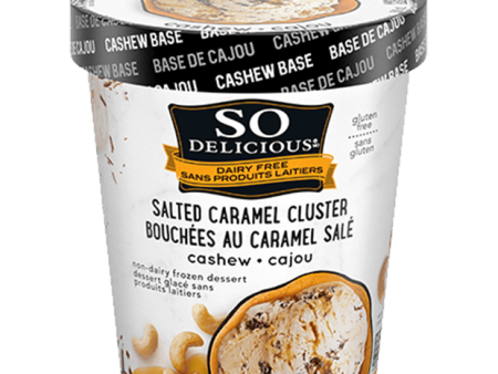 So Delicious Salted Caramel Cluster Cashew 500ml Frozen Online now