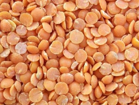 Split Red Lentils (Organic) 600G For Discount