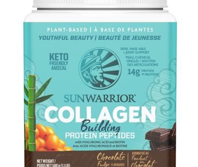 Sun Warrior Collagen Chocolate 500g Cheap