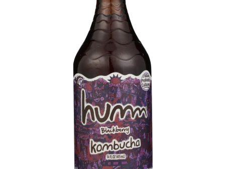 HUMM: Blackberry Kombucha, 14 oz Fashion