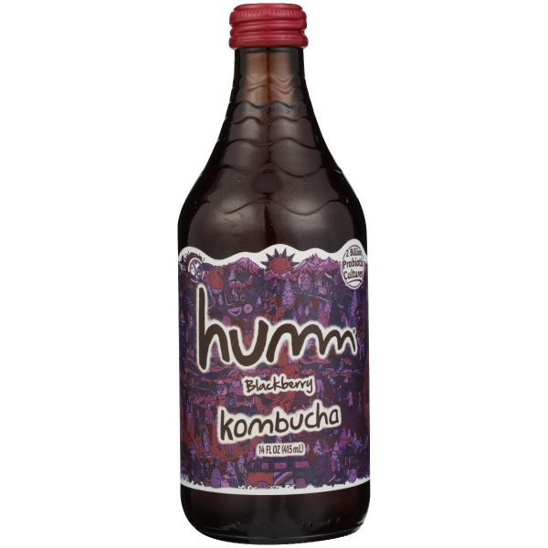 HUMM: Blackberry Kombucha, 14 oz Fashion