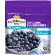 Earthbound Blueberries (Organic) 300g Frozen on Sale