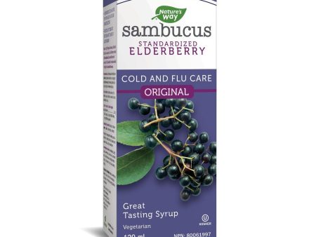 Nature s Way Elderberry Sambucus Organic Syrup 120ml Fashion