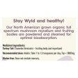 Stay Wyld Turkey Tail Powder 100g For Discount