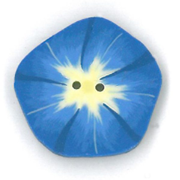 small morning glory on Sale