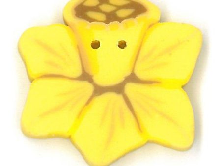 small daffodil For Cheap