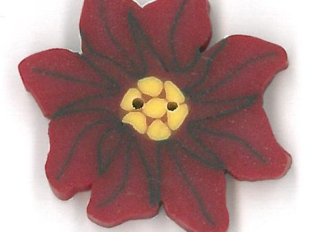 small poinsettia Online Hot Sale