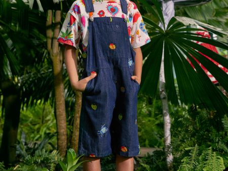 Bugs Kids Overalls Discount